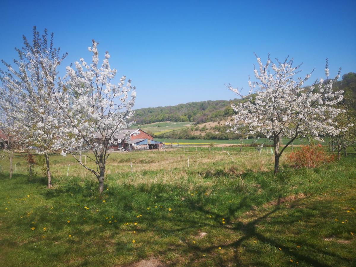 Nature Monchy Campneuseville Екстер'єр фото